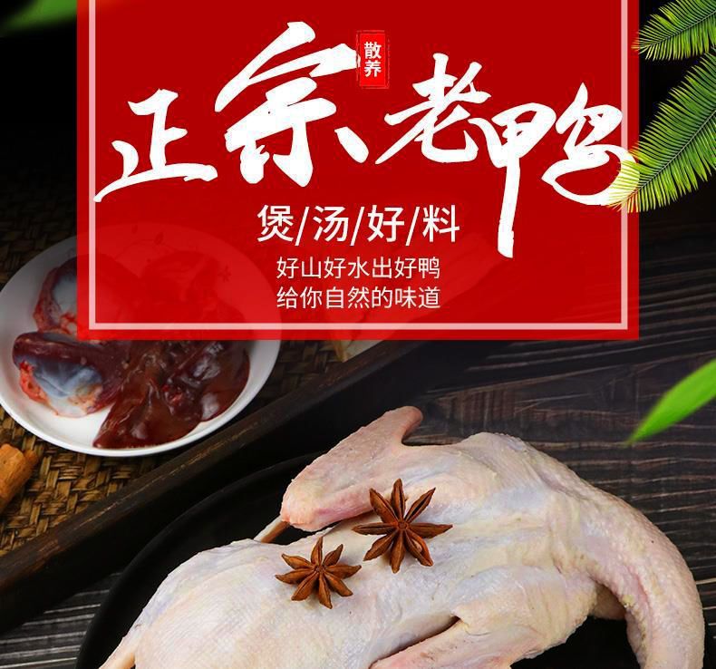 【5年老鸭】农家散养老鸭子土鸭水鸭麻鸭笨鸭生鲜鸭子肉整只现杀
