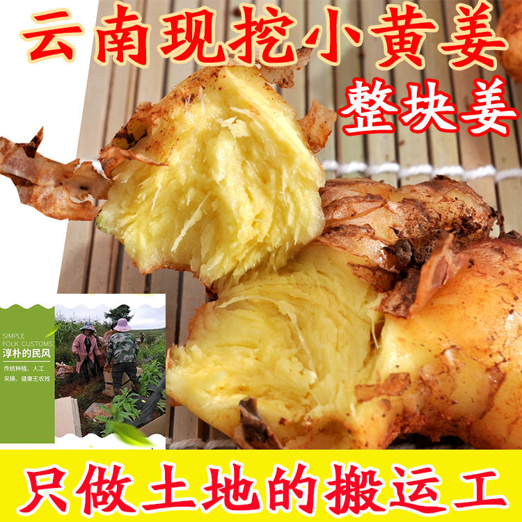 新鲜云南生态小黄姜生姜老姜批发嫩姜仔姜月子姜整箱现挖非山东姜 07a52482 55ec 4e1c 92aa 0dda6cdc9623 - 新鲜云南生态小黄姜生姜老姜批发嫩姜仔姜月子姜整箱现挖非山东姜