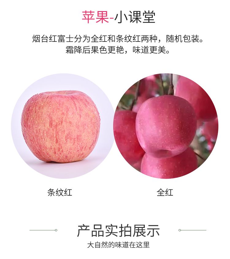 山东烟台栖霞红富士苹果应季水果新鲜整箱批发脆甜10斤/5斤/3斤