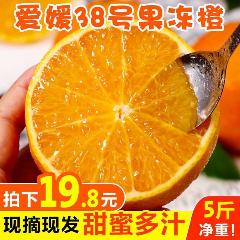 88797-四川爱媛38号果冻橙8斤当季新鲜水果手剥橙子柑橘桔子5斤-2斤批发-详情图