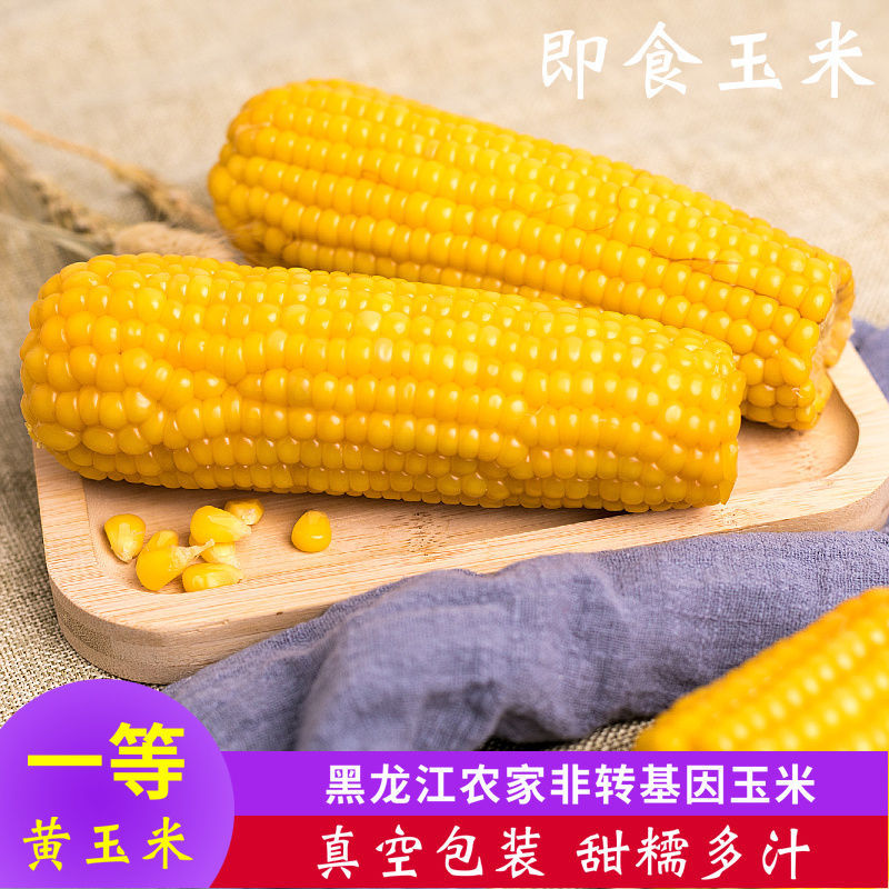 东北黄玉米甜糯粘玉米棒真空包装新鲜果即食玉米黑龙江黏玉米粒