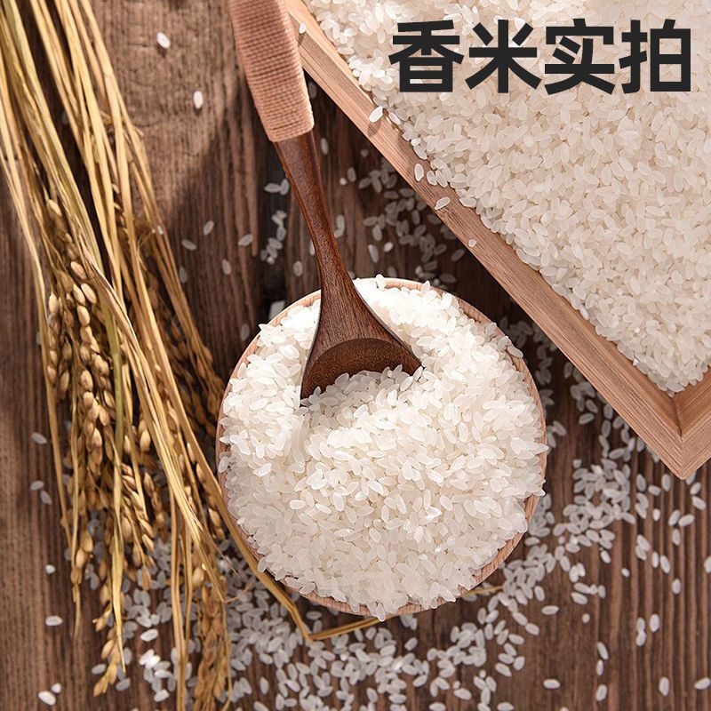 五常稻花香大米1kg/袋2斤5kg/袋10斤2020年新米香米 