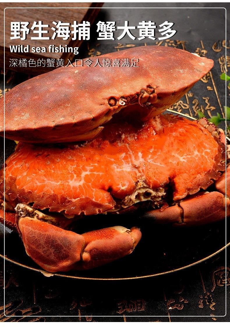 面包蟹新鲜超大鲜活冷冻海鲜熟冻螃蟹黄金蟹海蟹即食珍宝蟹