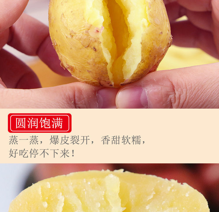 云南土豆红皮黄心土豆10斤5斤3斤新鲜马铃薯洋芋老品种土豆批发
