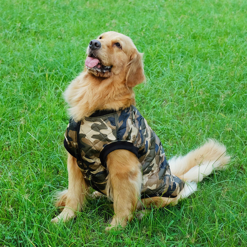 大狗狗衣服秋冬装金毛犬萨摩耶冬季中型犬大型犬秋季拉布拉多冬天