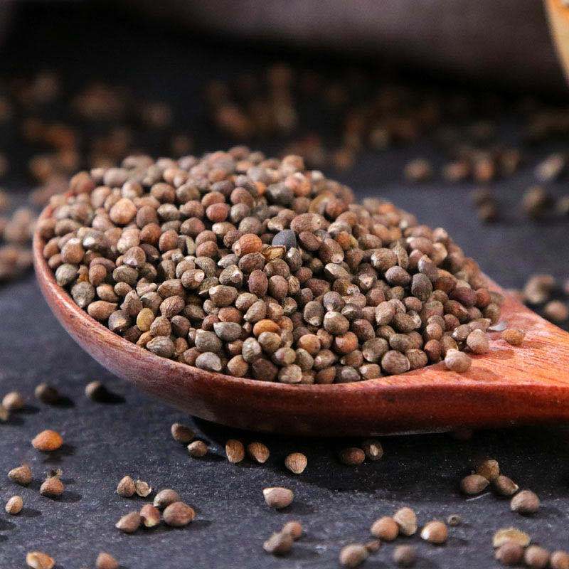 紫苏子中药材紫苏新货苏子籽粉食用搭配白芥子莱菔子三子养亲汤【3月