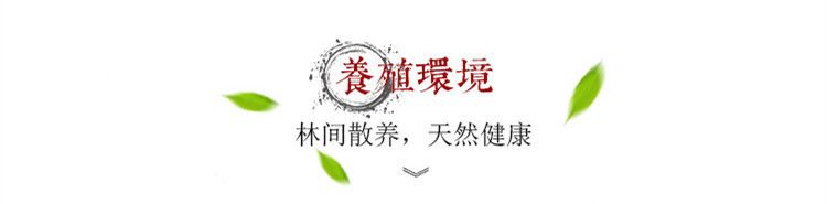 【5年老鸭】农家散养老鸭子土鸭水鸭麻鸭笨鸭生鲜鸭子肉整只现杀