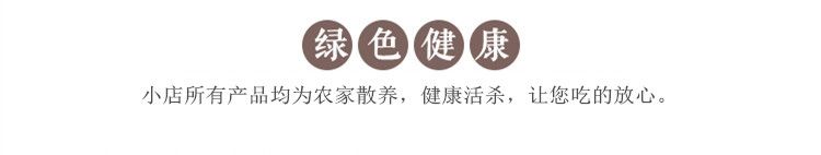 【5年老鸭】农家散养老鸭子土鸭水鸭麻鸭笨鸭生鲜鸭子肉整只现杀