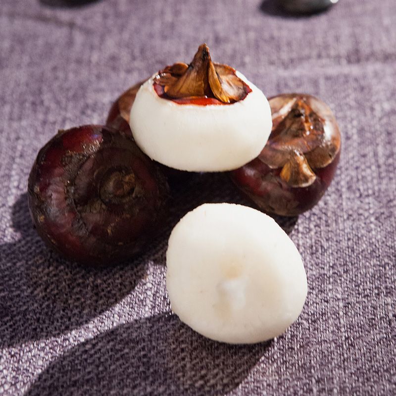 新鲜马蹄大个荸荠地梨农家水果蔬菜带泥马蹄135斤包邮现挖现发