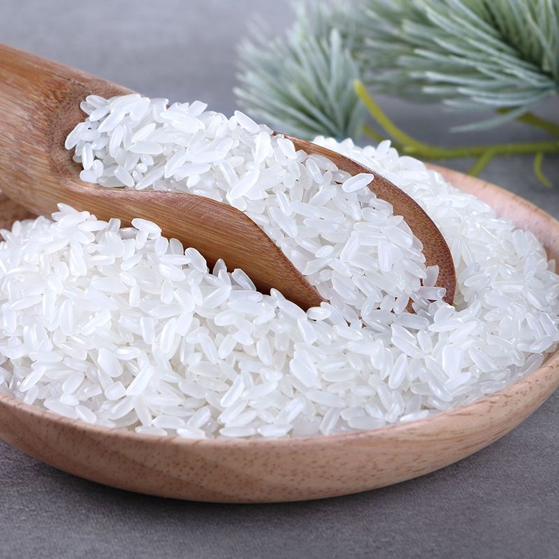 【小月好物 2020年新米】东北大米5kg*2袋组合长粒香米大米