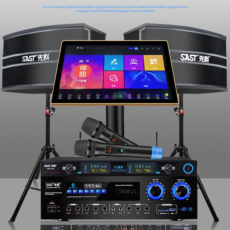 新科a10家庭ktv音响套装全套音响家用k歌功放机音响全套ktv音响 虎窝拼