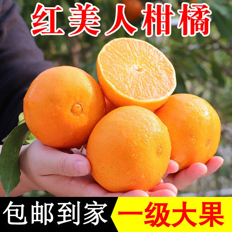 台州红美人柑橘水果爱媛28鲜果冻橙薄皮橘子孕妇鲜甜桔子产地直销