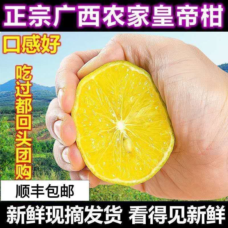 【顺丰包邮】正宗皇帝柑贡柑橘子新鲜水果现摘5斤大果