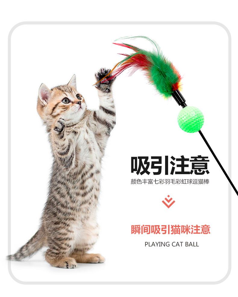 猫玩具套装自嗨激光逗猫棒薄荷鱼不倒翁老鼠解闷小猫猫咪宠物用品