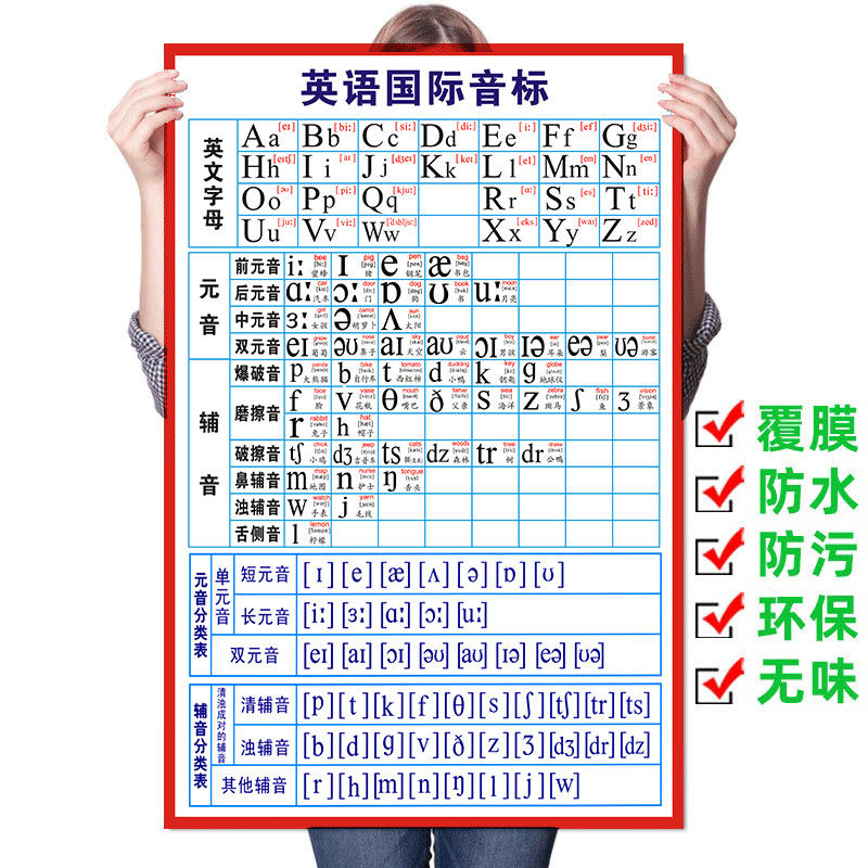 英语音标挂图48个国际音标表墙贴字母表元音辅音英语音标发音挂图