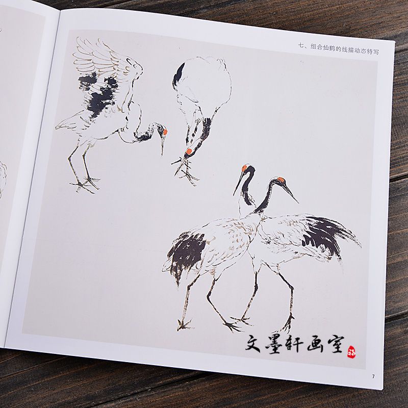 学画宝典 仙鹤 中国画技法/汤琳南/写意禽鸟画法步骤 画谱图集