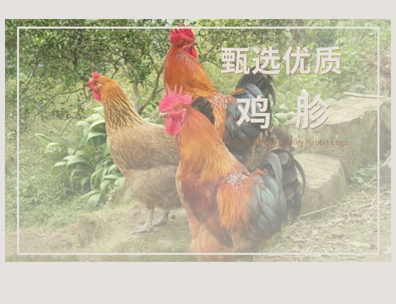 【顺丰包邮】活体现杀鸡胗新鲜冷冻鸡胗鸡胃鸡肫火锅烧烤食材