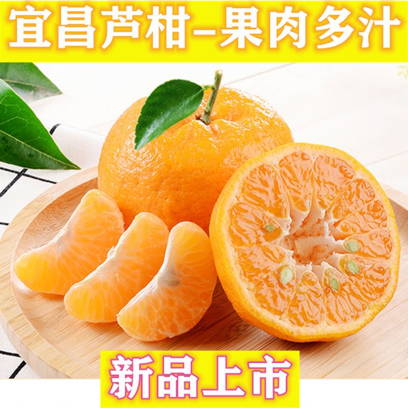 105971-正宗宜昌芦柑特产椪柑新鲜水果酸甜橘子皮薄蜜桔沃柑孕妇水果柑橘-详情图