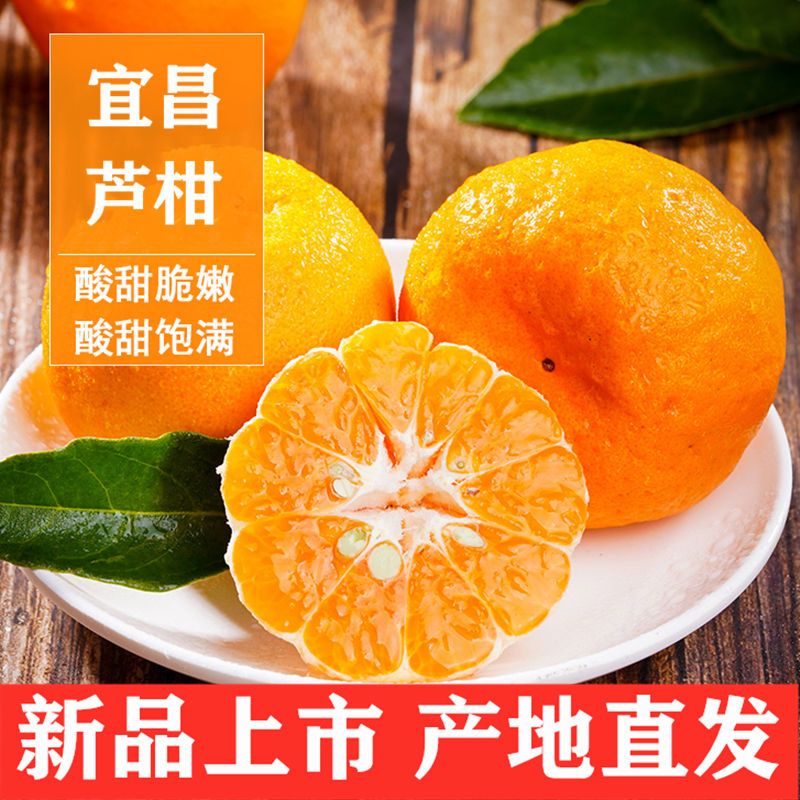 105971-正宗宜昌芦柑特产椪柑新鲜水果酸甜橘子皮薄蜜桔沃柑孕妇水果柑橘-详情图