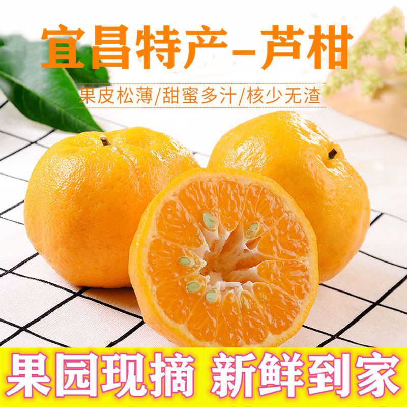 105971-正宗宜昌芦柑特产椪柑新鲜水果酸甜橘子皮薄蜜桔沃柑孕妇水果柑橘-详情图