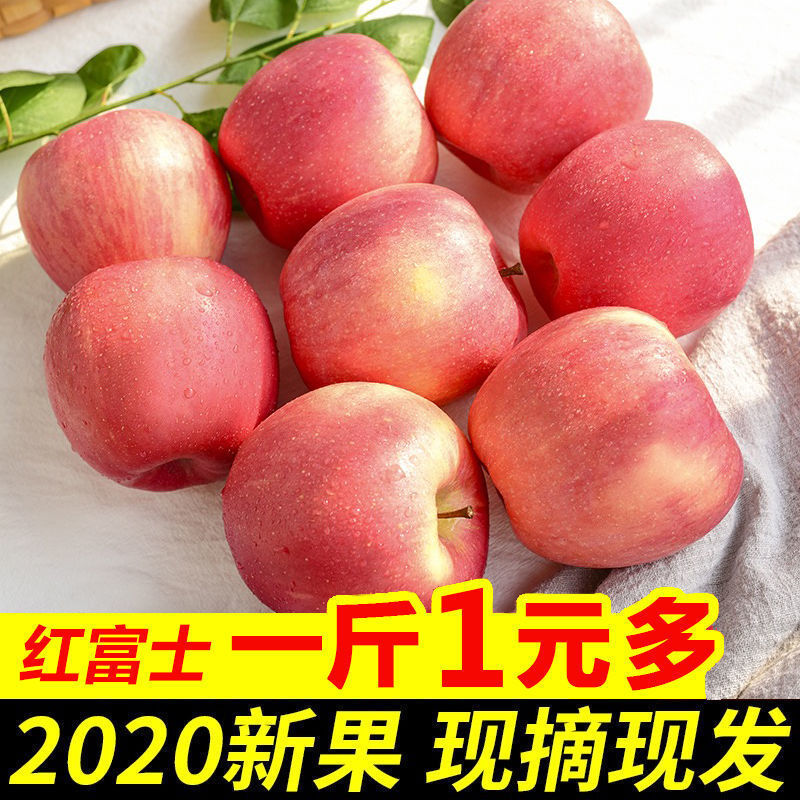 山西红富士苹果当季水果新鲜包邮整箱5/10斤脆甜多汁