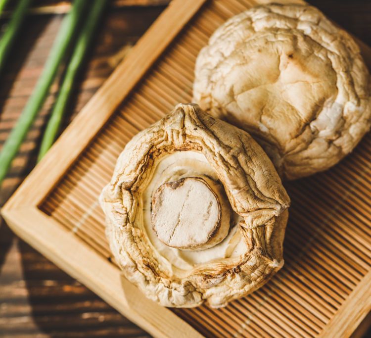 口蘑干货蘑菇农户精心种植干口蘑新货白蘑菇特产干口蘑干白蘑菇干