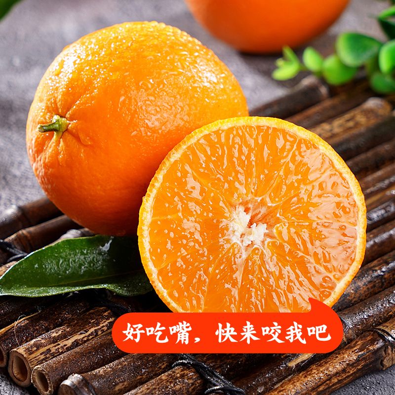 91663-【现摘现发】四川爱嫒果冻橙子橘子新鲜孕妇儿童水果非冰糖橙脐橙-详情图