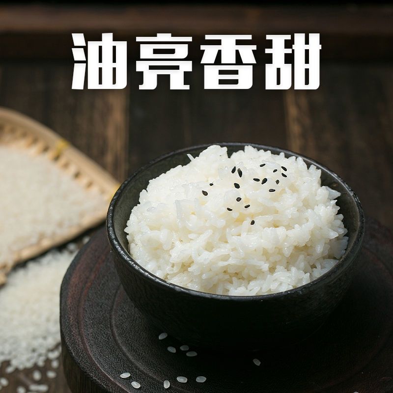 2020年上半年吉林市g_吉林市地图(3)