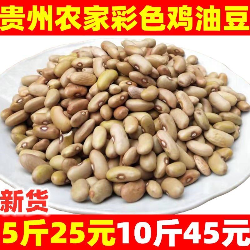 豆农家新品种花豆四季豆贵州农家鸡油豆腰豆肾豆彩色芸【2月18日发完