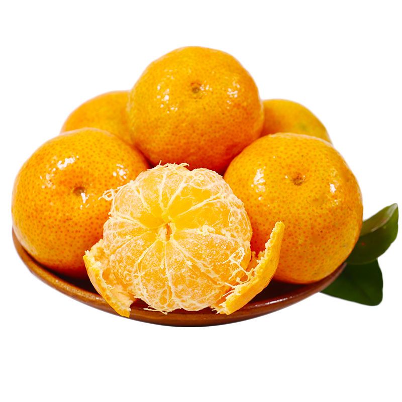 【正宗砂糖橘】果园现摘广西砂糖橘应季贡桔当季桔