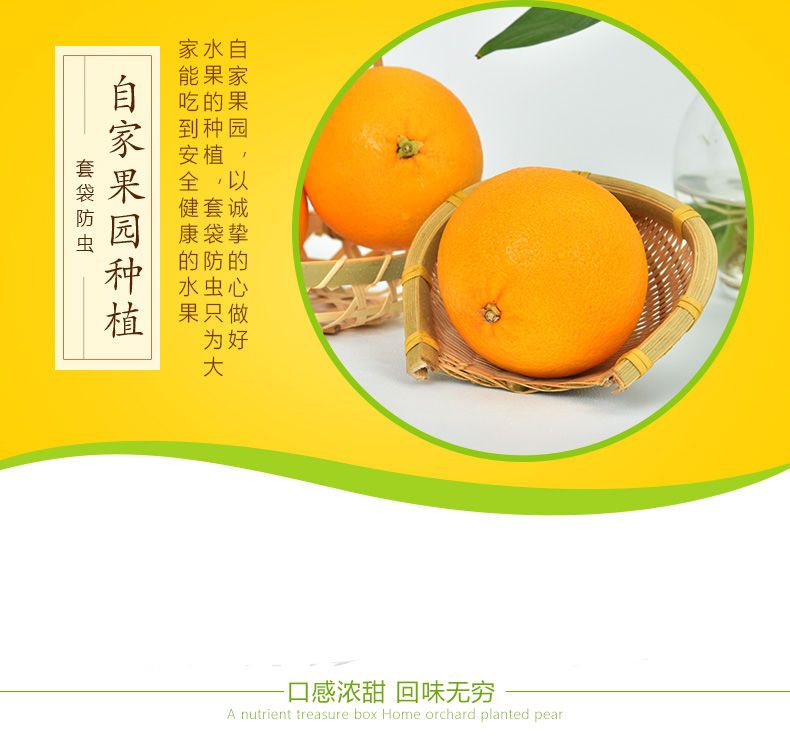 【甜甜的】麻阳冰糖橙新鲜橙子现摘新鲜水果10斤/2/5斤高山小甜橙