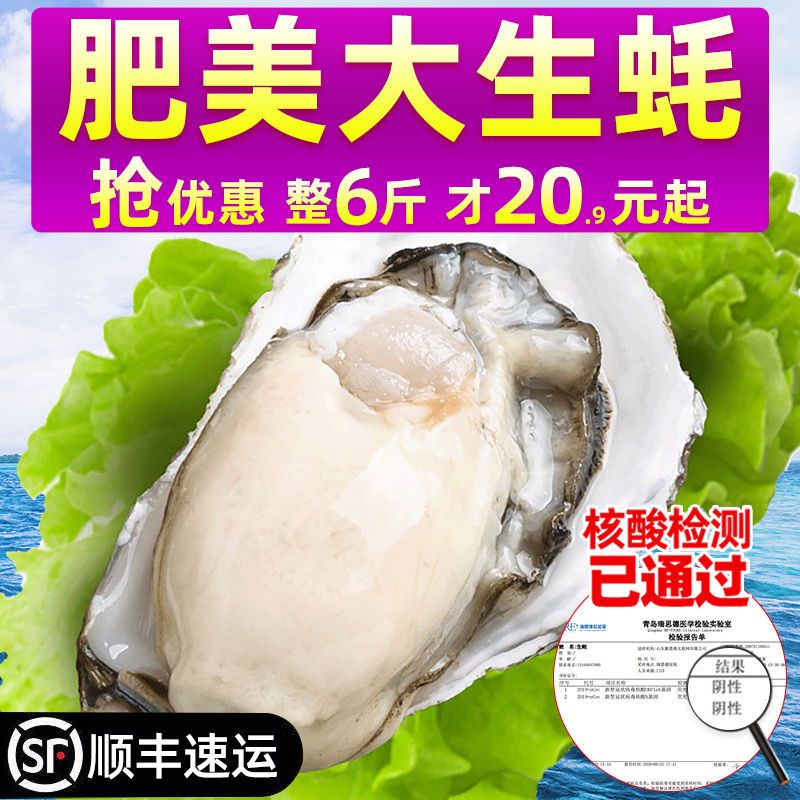 d86d854e-948f-4300-9e48-1ce0eadf20bf.jpeg.a.jpeg