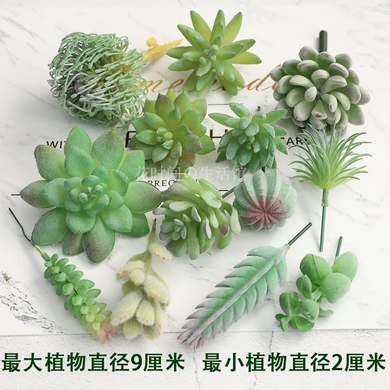 仿真多肉植物假花塑料绿色植物墙户外阳台室内家居装饰品摆放陈设 虎窝拼