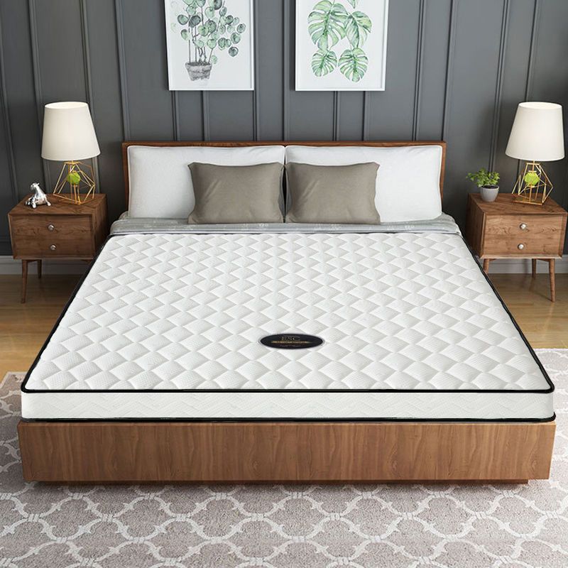 esc床垫15cm厚席梦思弹簧床垫薄款10cm高箱床垫12cm乳胶加棕床垫