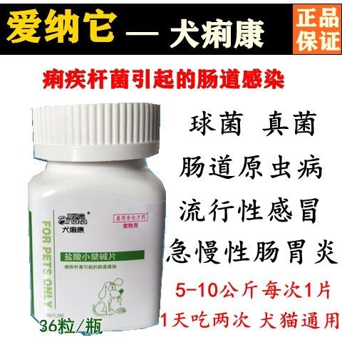 爱纳它犬痢康狗狗拉稀呕吐拉血吐血拉肚子肠胃消炎药猫狗血便狗药 虎窝拼