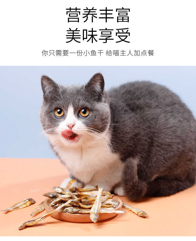d19ac85f-267c-40e4-952e-3bcaacd74101.jpeg.a.jpeg