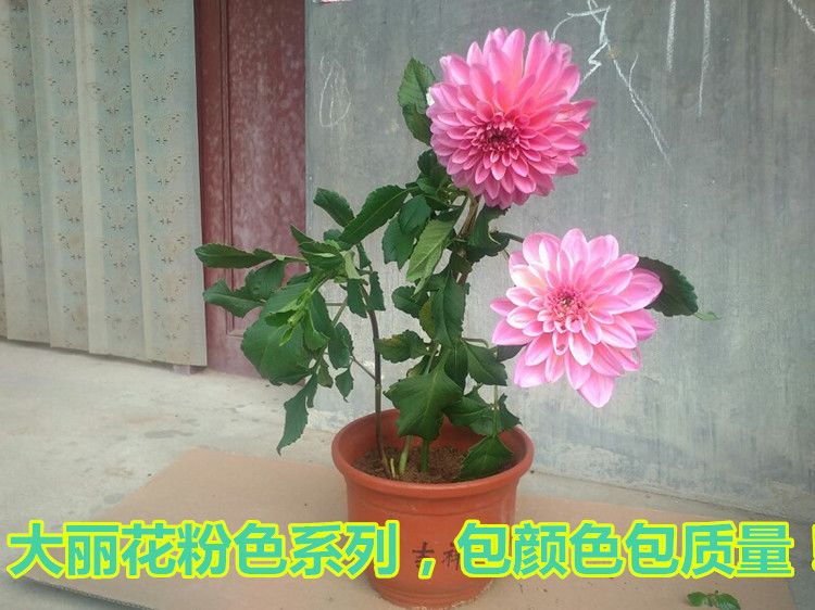 f9058815-1eac-4d99-ab4a-04b16263c0cd.jpeg