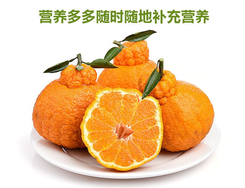  正宗四川丑橘不知火丑八怪橘子丑桔当季新鲜水果包邮