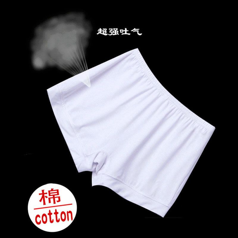 女士四角宽松内裤二合一安全裤防走光不卷边纯棉抗菌平角打底短裤 图片 3