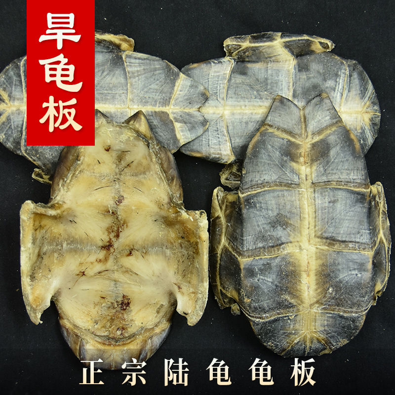 龟板 中药材   龟板 有制龟板 醋龟板 乌龟壳 可磨粉500g 鳖甲【2月18