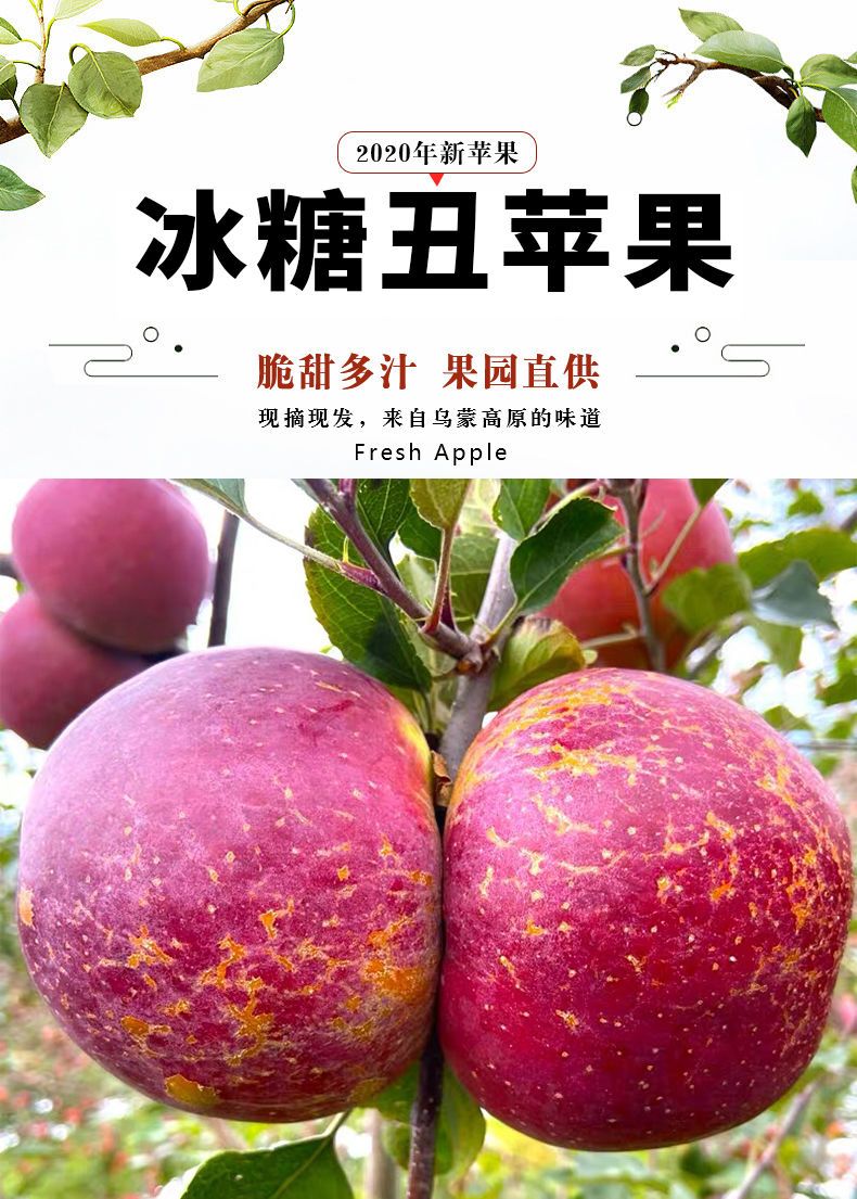 【批发价】正宗冰糖心丑苹果水果新鲜当季红富士脆甜10/5斤装整箱