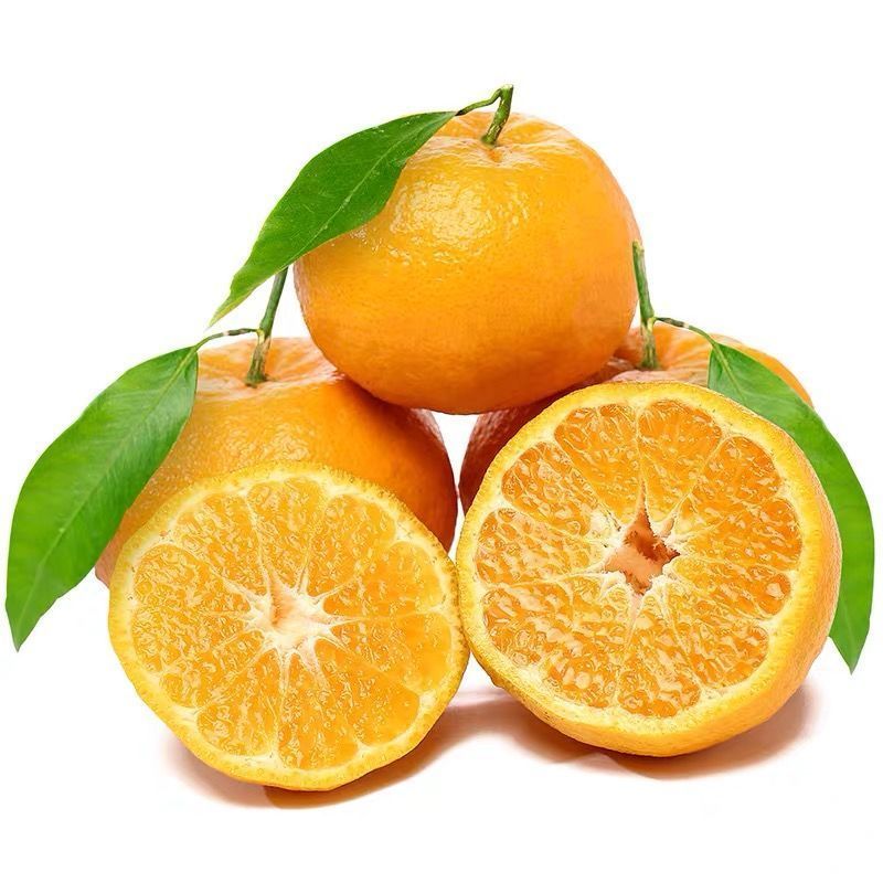 【爆甜】宜昌蜜桔清江椪柑超甜芦柑三峡蜜桔新鲜桔子橘子丑橘水果