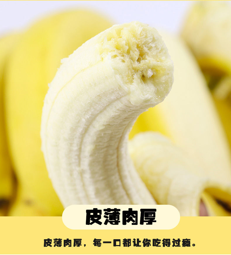 【10斤装】云南香蕉整箱当季水果新鲜自然熟芭蕉不是海南小米蕉包邮【小老头美食】