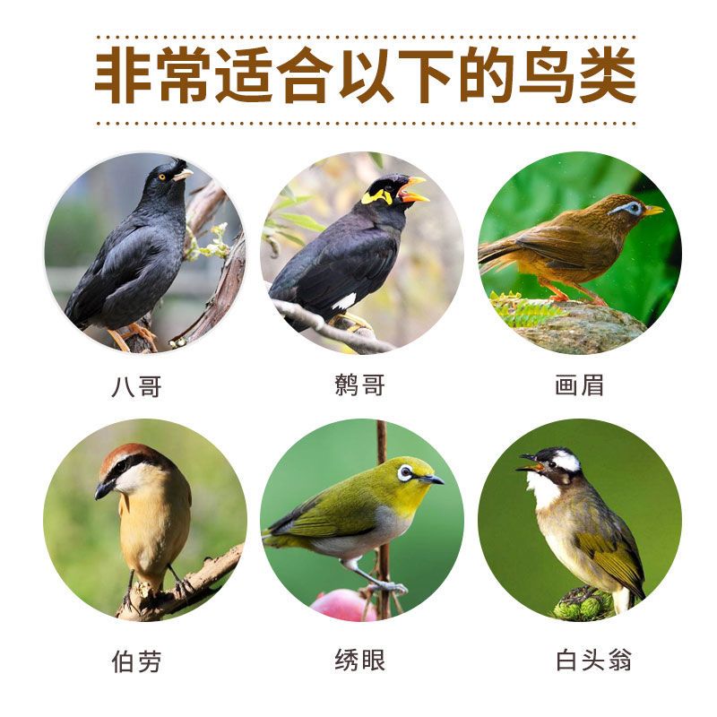 Pet Shangtian Bread, Insect Dried Octopus Feed, Bird Insect Dried Special Food, Thrush Bird Food Feed, Nutrient Bird Food