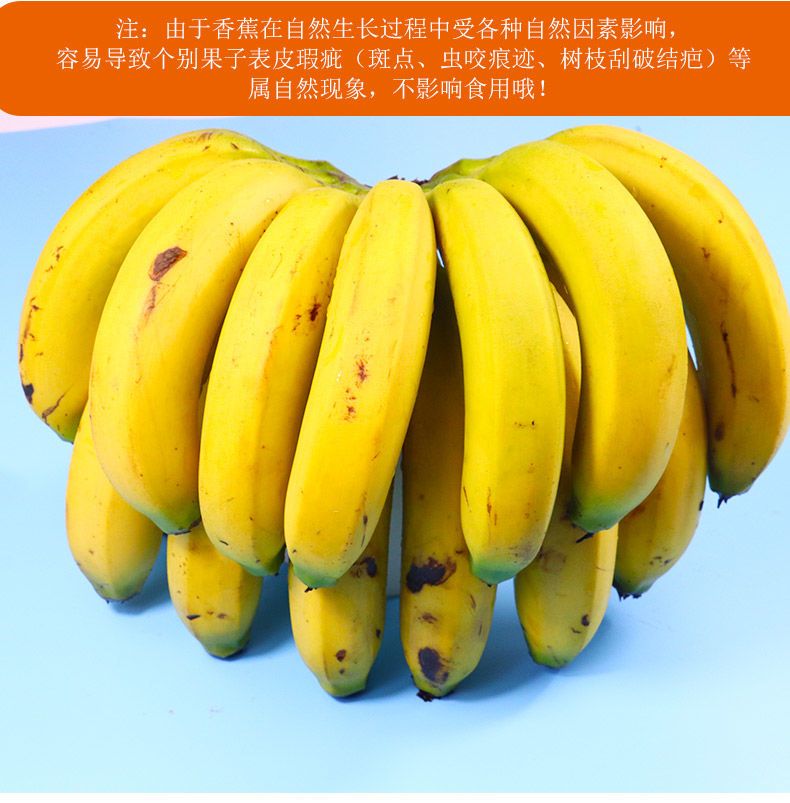 【10斤装】云南香蕉整箱当季水果新鲜自然熟芭蕉不是海南小米蕉包邮【小老头美食】