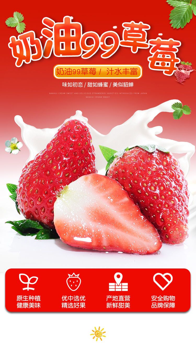 正宗红颜牛奶草莓现摘露天新鲜应当季孕妇丹整箱酸甜水果东奶油