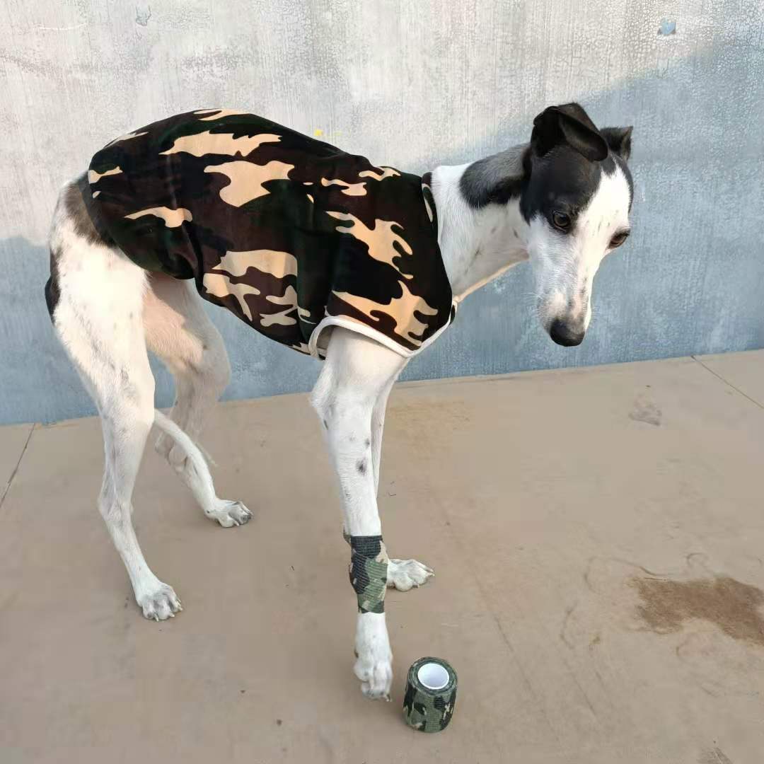 格力犬惠比特犬用绷带免受伤自粘固定赛犬护腿扭伤防骨折胶布 虎窝拼