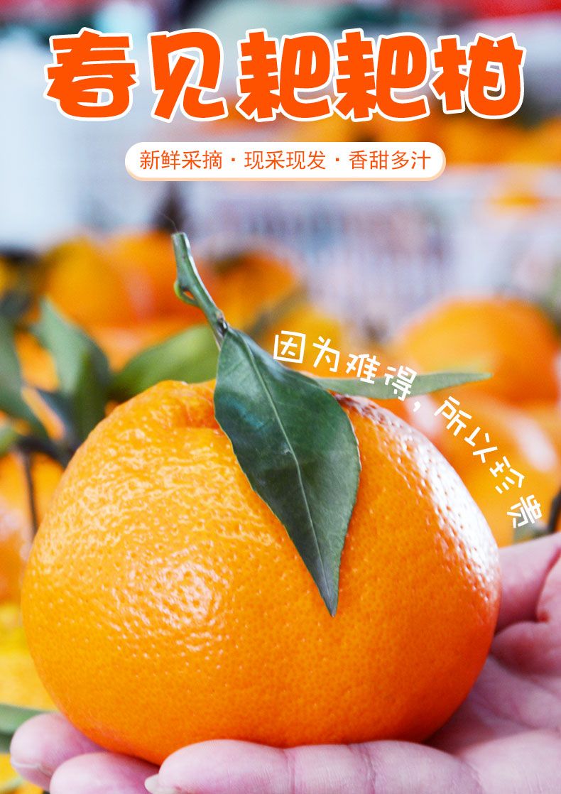 138a3123-154a-4856-a090-8a70f797021e.jpeg