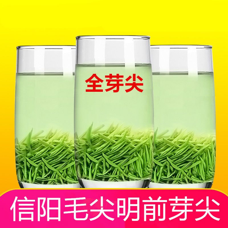 毛尖茶叶信阳毛尖2021新茶嫩芽明前绿茶浓香型散礼盒装250g