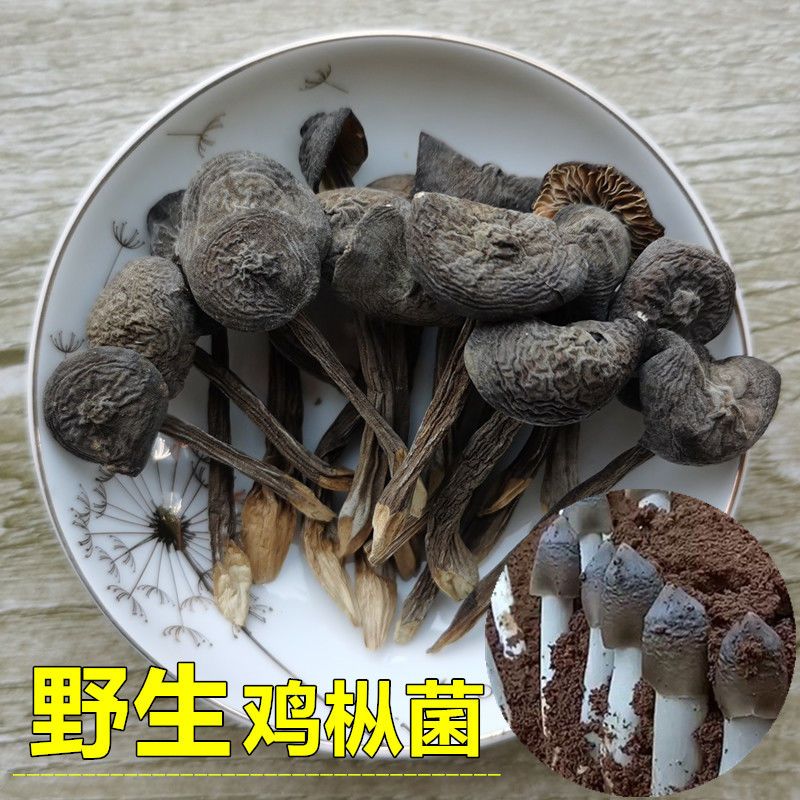 野生鸡枞菌干货云南特产山珍新鲜干深山黑皮鸡枞菌香蘑菇煲汤材料